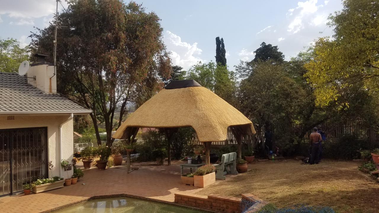SP Thatch project image