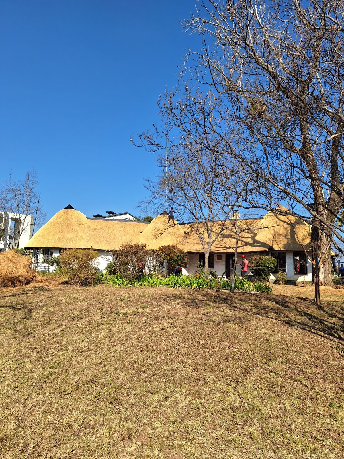 Lapa construction and alterations