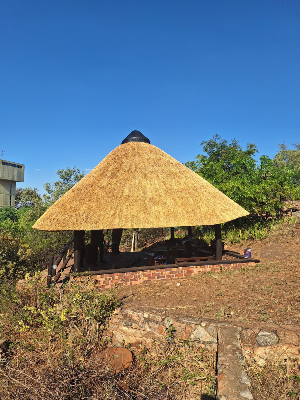 SP Thatch maintenance project