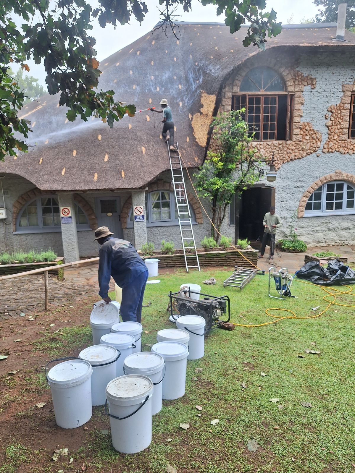 SP Thatch lapa work
