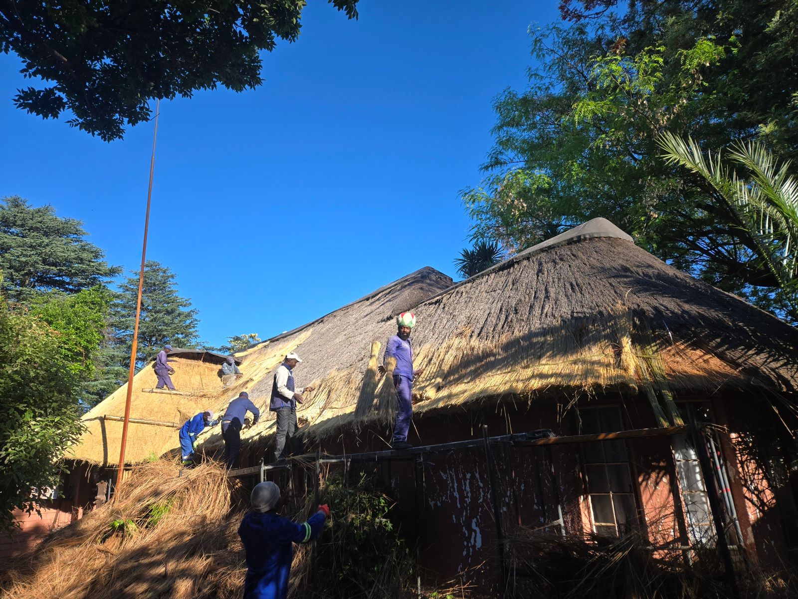 SP Thatch project gallery