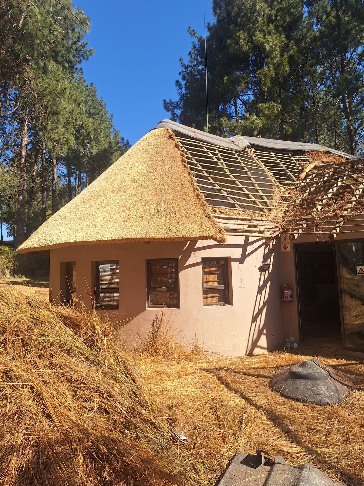 Harvey Thatch installation